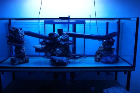 DSC08485 (Medium).JPG