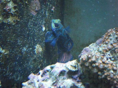 2009_1019Tank0017.jpg