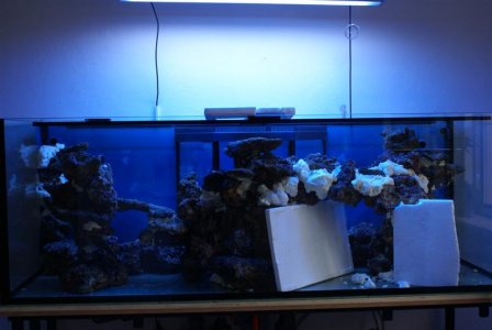 DSC08491 (Medium).JPG