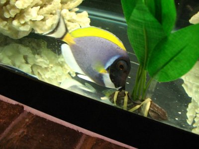 What is this2 020.jpg