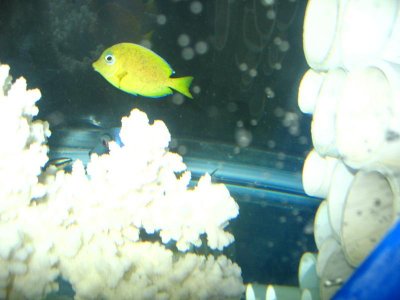 What is this2 016.jpg