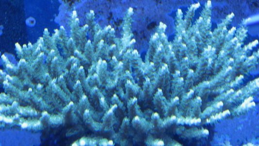 IMG_3549.jpg