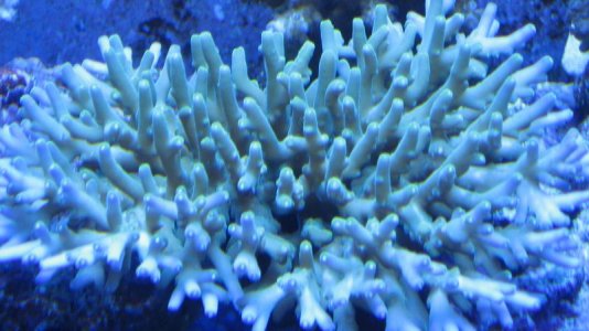 IMG_3551.jpg