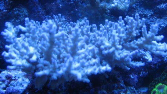 IMG_3555.jpg
