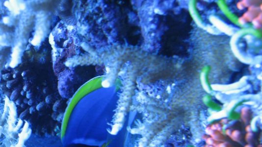 IMG_3557.jpg