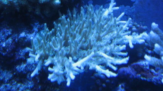 IMG_3558.jpg