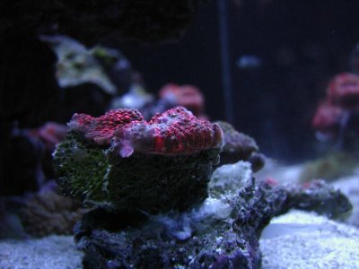 nano 9-29-09 405.jpg