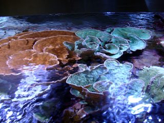 DSC00541-top.jpg