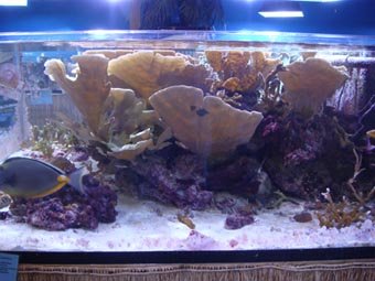 DSC00543-side.jpg