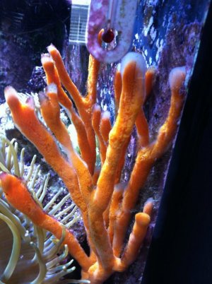 IMG_0922.jpg