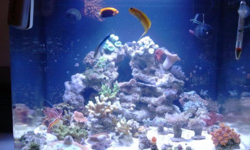 2012-01-18 20.25.56.jpg