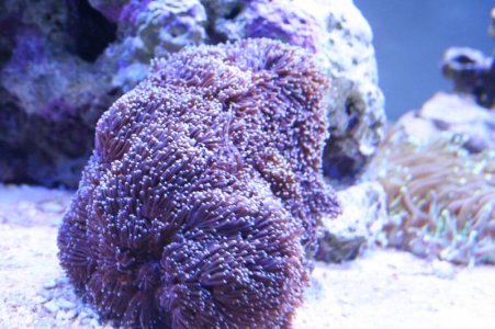 IMG_2173.jpg