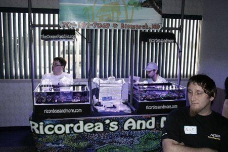 Swap 2012 2.jpg