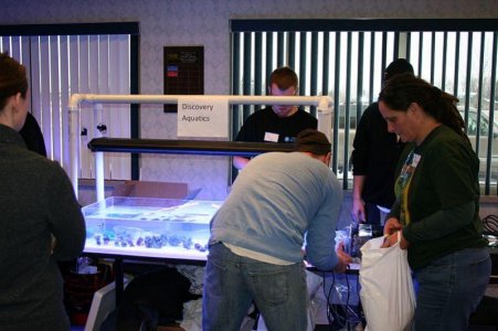 Swap 2012 10.jpg