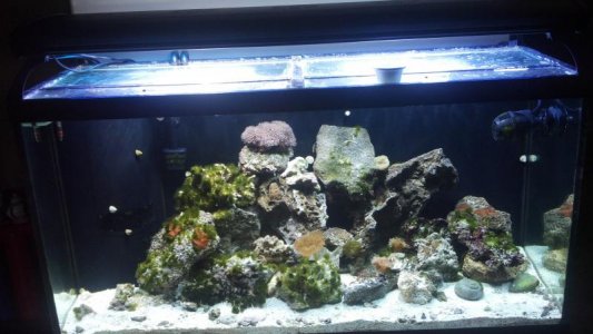 2012-02-11_16-46-35_448.jpg