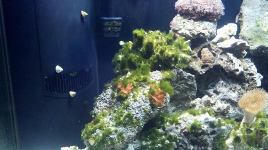 2012-02-11_16-46-44_211.jpg