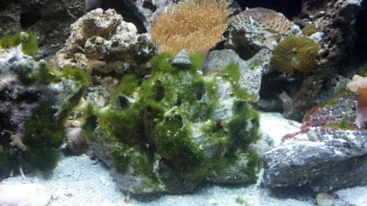 2012-02-11_16-46-52_763.jpg