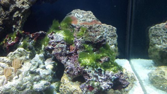 2012-02-11_16-46-59_835.jpg
