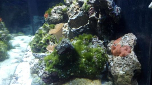 2012-02-11_16-47-08_920.jpg