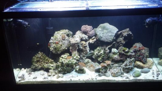 Full Tank Day 1.jpg