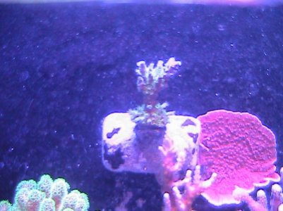 10g012812 014.jpg