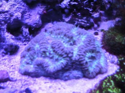 10g012812 015.jpg