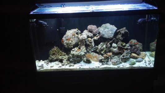 Full Tank Day 2.jpg