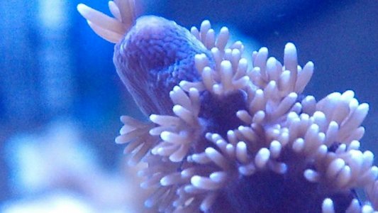 2012-02-14_18-10-57_656.jpg