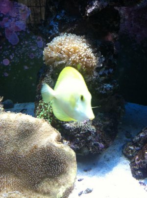 IMG_1464.jpg IMG_1464.jpg