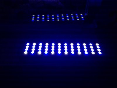 light samples 004.jpg