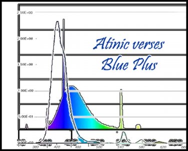 Blue verses Atinic.jpg