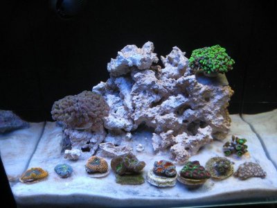 FTS 8g 2-21-12.jpg