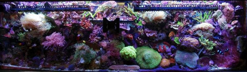 Beal 2012 02 19 m.jpg
