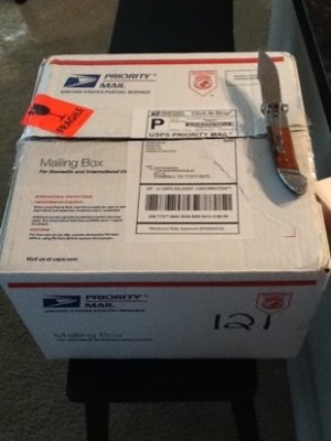 ImageUploadedByTapatalk HD1329436104.877063.jpg