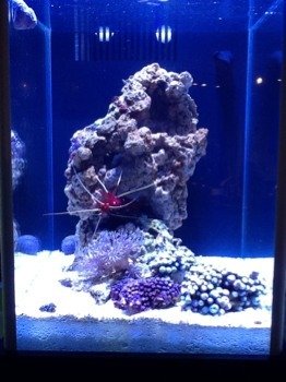 ImageUploadedByTapatalk HD1329436136.398780.jpg