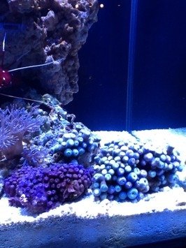 ImageUploadedByTapatalk HD1329436154.641063.jpg