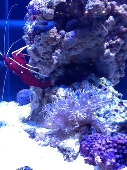 ImageUploadedByTapatalk HD1329436170.842389.jpg