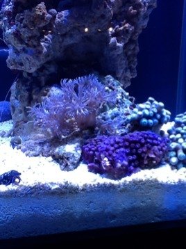 ImageUploadedByTapatalk HD1329436217.113036.jpg