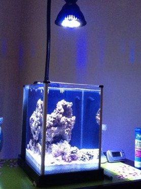 ImageUploadedByTapatalk HD1329436225.611133.jpg