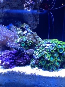 ImageUploadedByTapatalk HD1329443808.234900.jpg