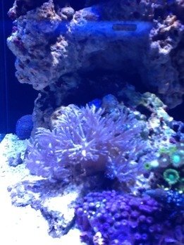 ImageUploadedByTapatalk HD1329443817.632141.jpg