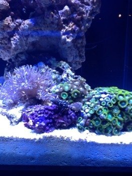 ImageUploadedByTapatalk HD1329443831.768701.jpg