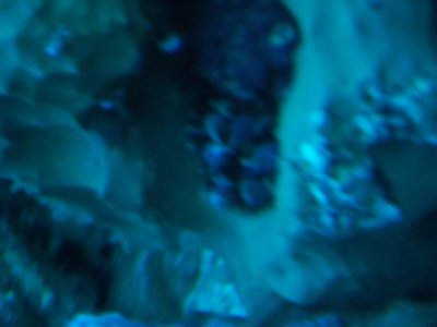 100_1178.jpg