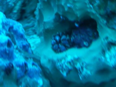 100_1179.jpg