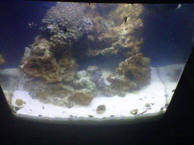 IMG-20120222-00569.jpg