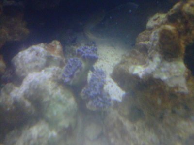 IMG-20120222-00570.jpg