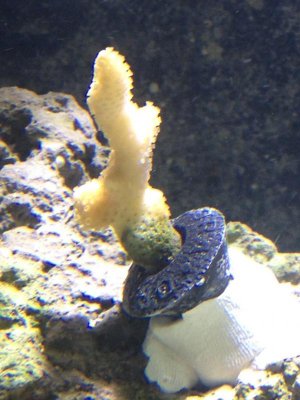 IMG_1742.jpg