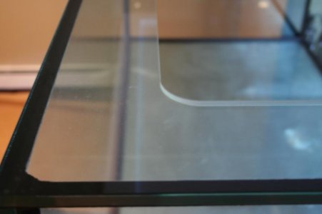 IMG_0049.jpg IMG_0049.jpg