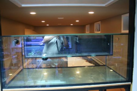 IMG_0051.jpg IMG_0051.jpg