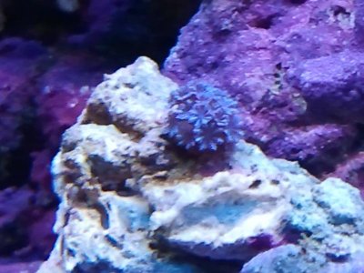 2011-12-19 11.28.31.jpg